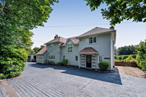 Photo 46- click for photo gallery